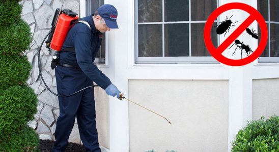 Eruh Böcek ve Haşere İlaçlama böcek ilaçlama ve haşere kontrolü — ilaclama-tr.com